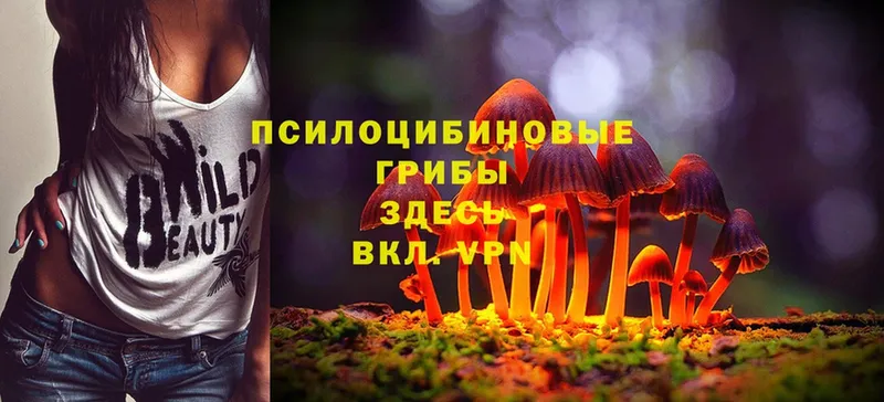 Псилоцибиновые грибы MAGIC MUSHROOMS  Гаджиево 